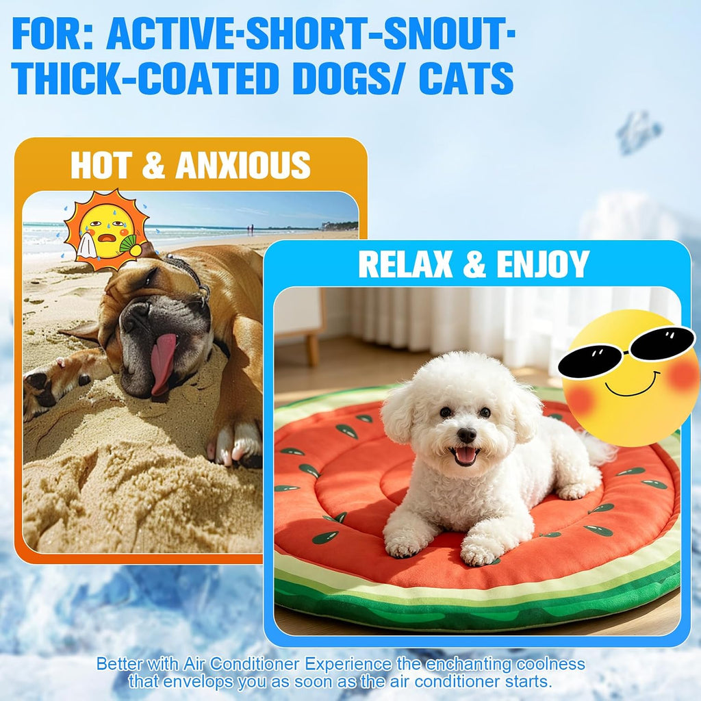 Dog Cooling Mat, Double-Sided Cooling Pad for Cats Dog Kitten,24" Thick & Durable Portable Pet Bed for Summer,Washable Cooling & Warm Blanket for Indoor,Outdoor,Watermelon (Red)
